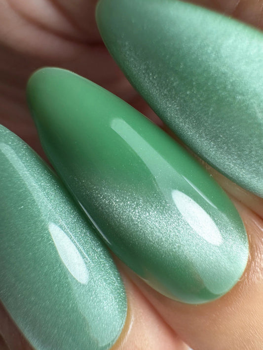 Cat Eye 11